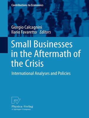 cover image of Small Businesses in the Aftermath of the Crisis